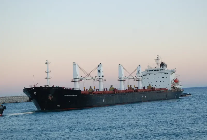 STONY LAKE Bulk Carrier IMO 9137430 photo 10