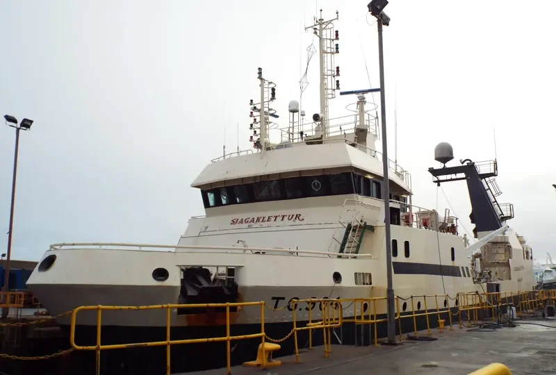 VIKING ALLIANCE General Cargo IMO 9137454 photo 3