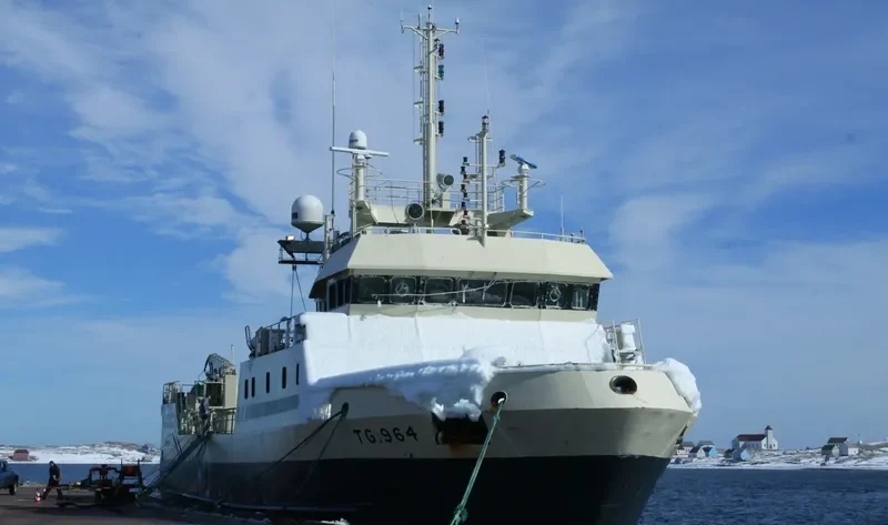 VIKING ALLIANCE General Cargo IMO 9137454 photo 6