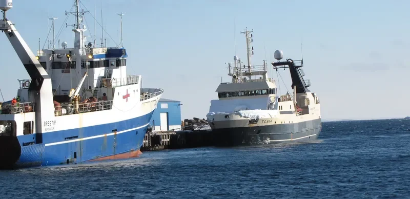 VIKING ALLIANCE General Cargo IMO 9137454 photo 7