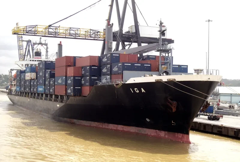SSL VISAKHAPATNAM Container Ship IMO 9137521 photo 8