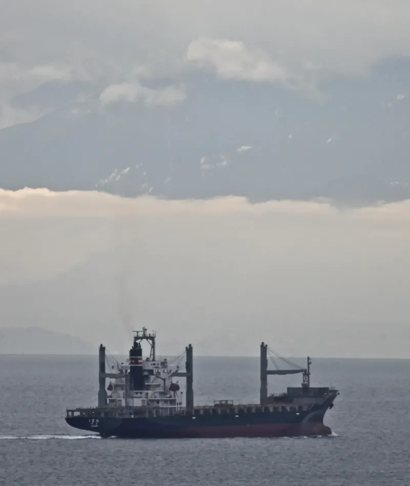 SSL GUJARAT Container Ship IMO 9137533 photo 5