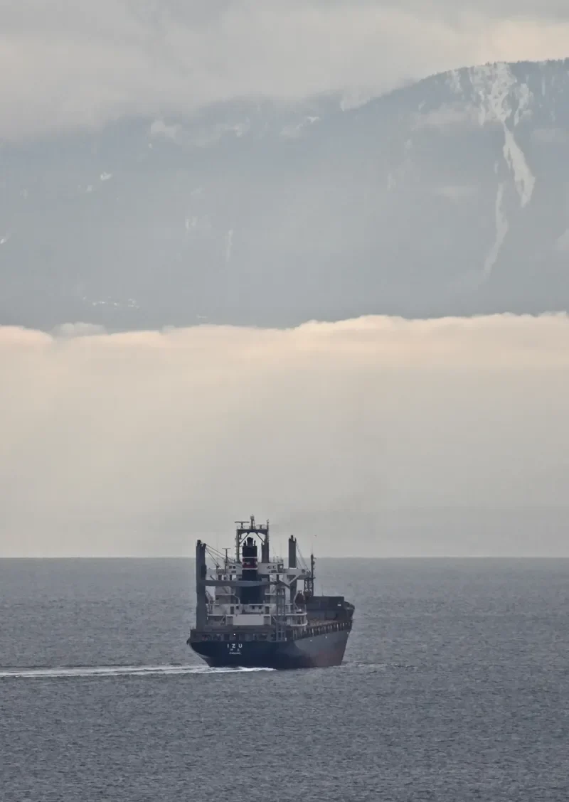 SSL GUJARAT Container Ship IMO 9137533 photo 6