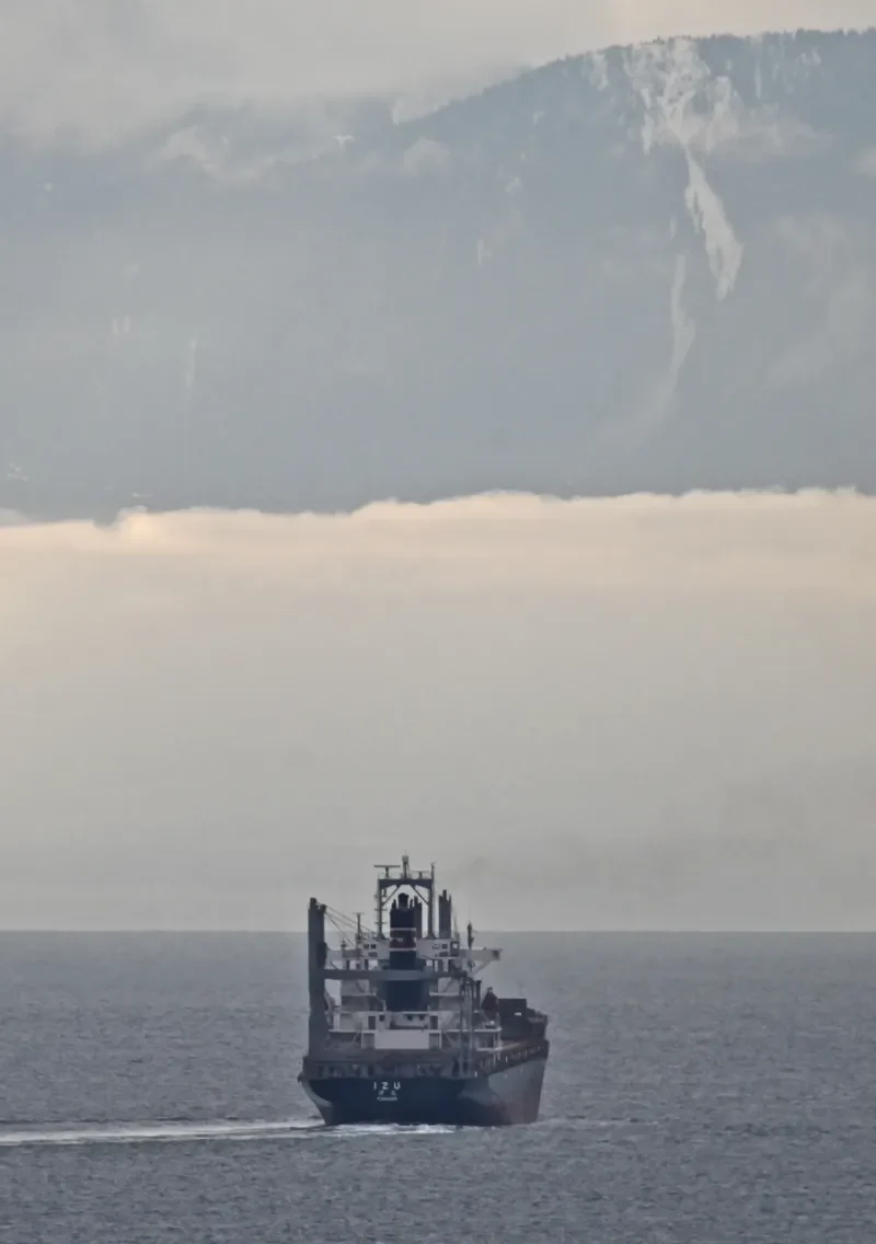 SSL GUJARAT Container Ship IMO 9137533 photo 7