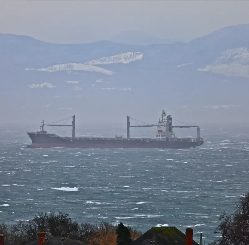 SSL GUJARAT Container Ship IMO 9137533 photo 9