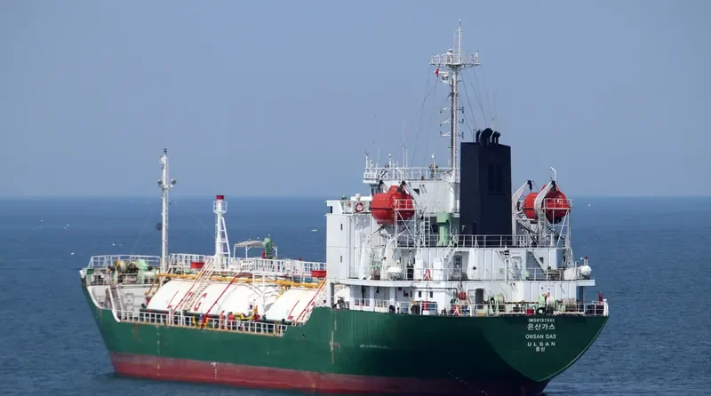 ONSAN GAS General Cargo IMO 9137595 photo 2