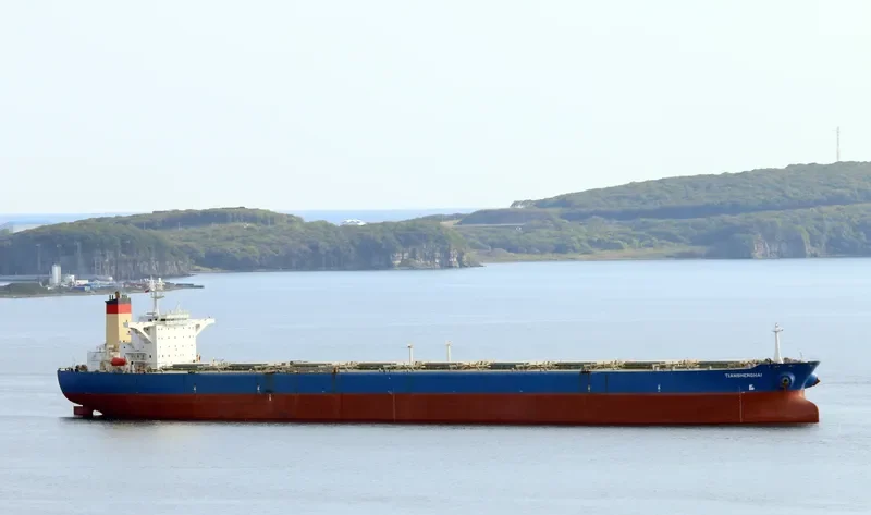 TIANSHENGHAI Bulk Carrier IMO 9137600 photo 7