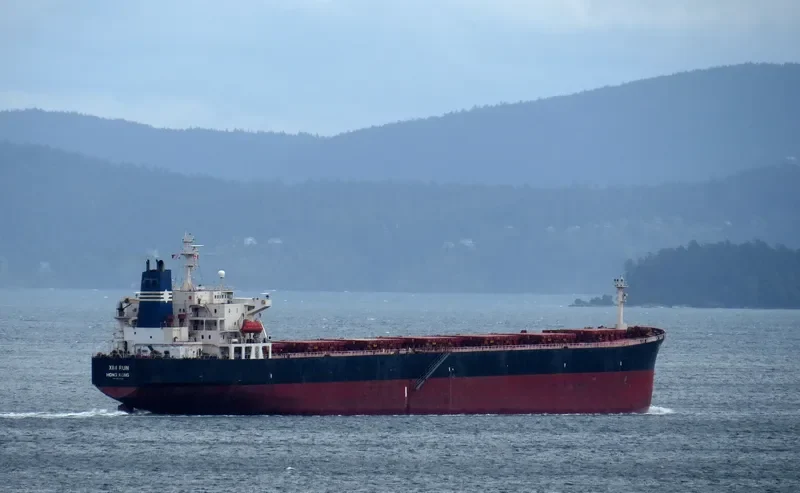 XIN RUN Bulk Carrier IMO 9137636