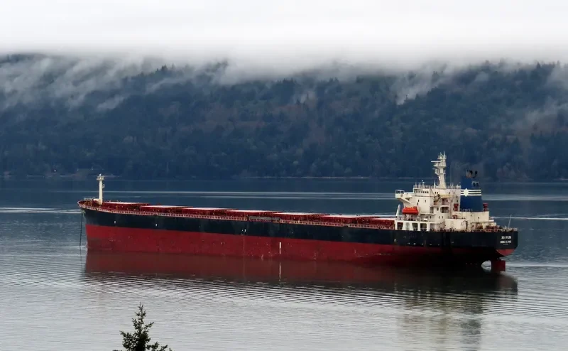 XIN RUN Bulk Carrier IMO 9137636 photo 2