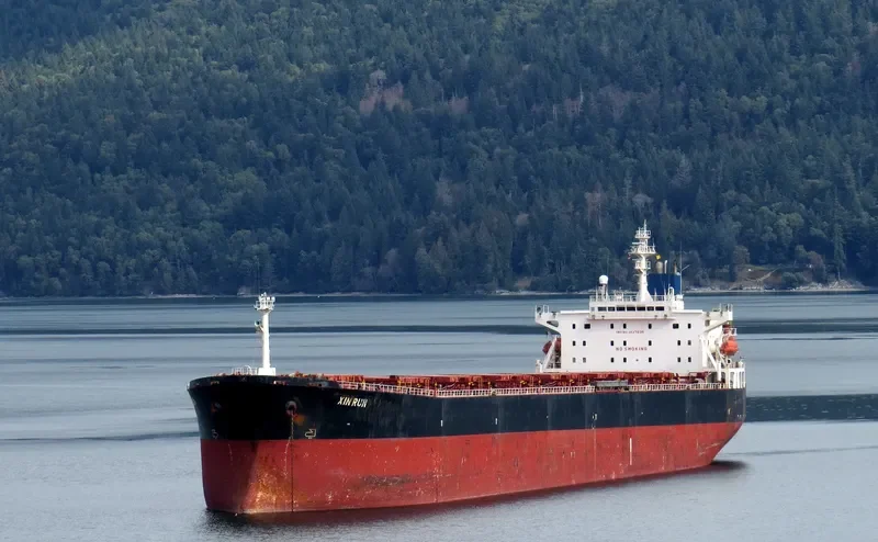 XIN RUN Bulk Carrier IMO 9137636 photo 3