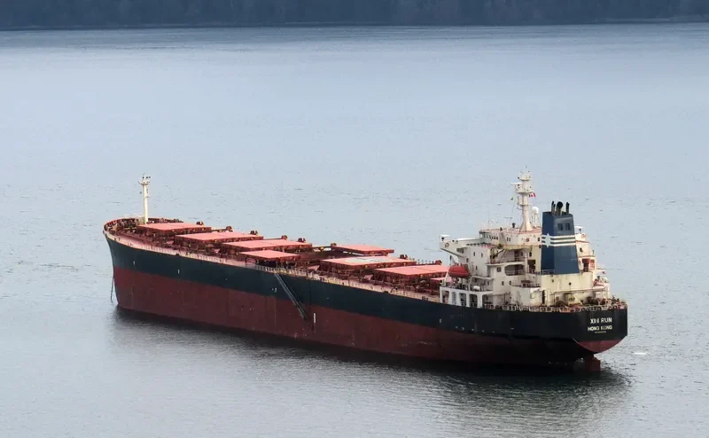 XIN RUN Bulk Carrier IMO 9137636 photo 4