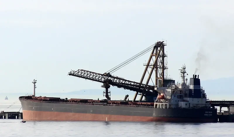 XIN RUN Bulk Carrier IMO 9137636 photo 5