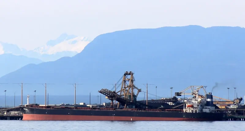 XIN RUN Bulk Carrier IMO 9137636 photo 6