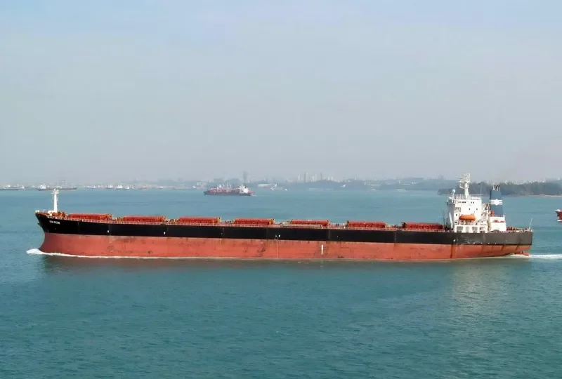 XIN RUN Bulk Carrier IMO 9137636 photo 9