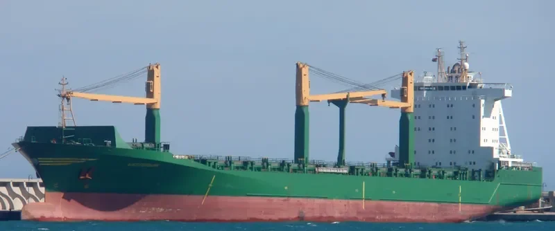 WESTERBURG Container Ship IMO 9137674 photo 9