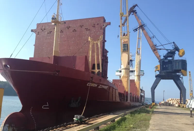 SEMEN DEZHNEV General Cargo IMO 9137727 photo 3