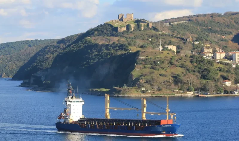 TEAM SPIRIT General Cargo IMO 9137753 photo 9