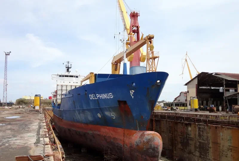 DELPHINUS Container Ship IMO 9137844