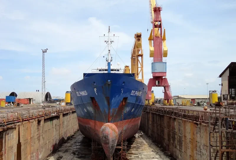 DELPHINUS Container Ship IMO 9137844 photo 2