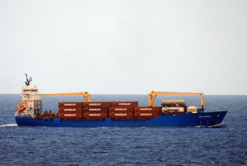 DELPHINUS Container Ship IMO 9137844 photo 3