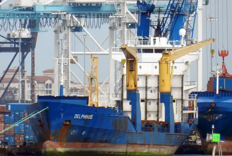 DELPHINUS Container Ship IMO 9137844 photo 4