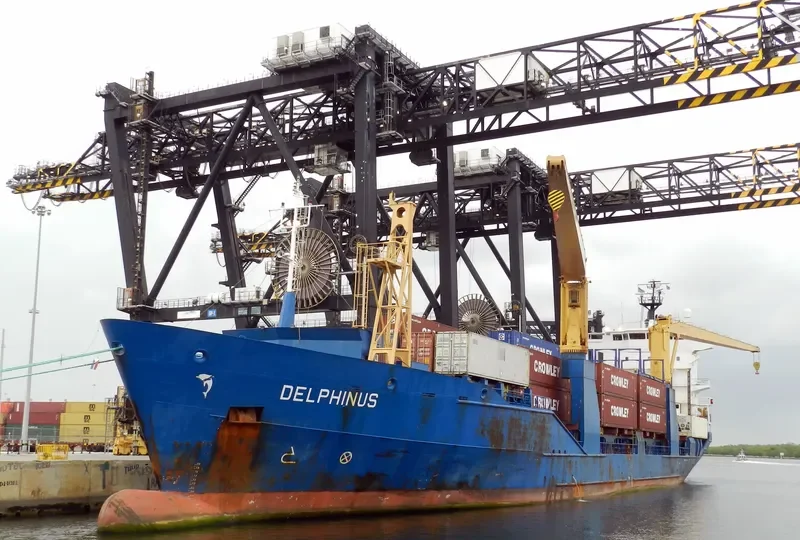 DELPHINUS Container Ship IMO 9137844 photo 5