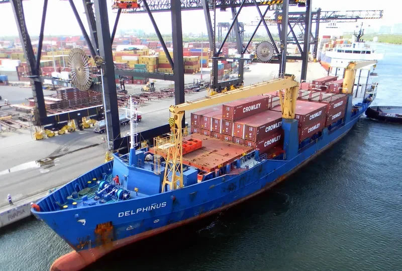 DELPHINUS Container Ship IMO 9137844 photo 7