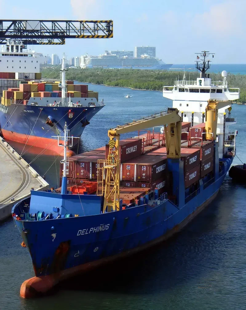 DELPHINUS Container Ship IMO 9137844 photo 8