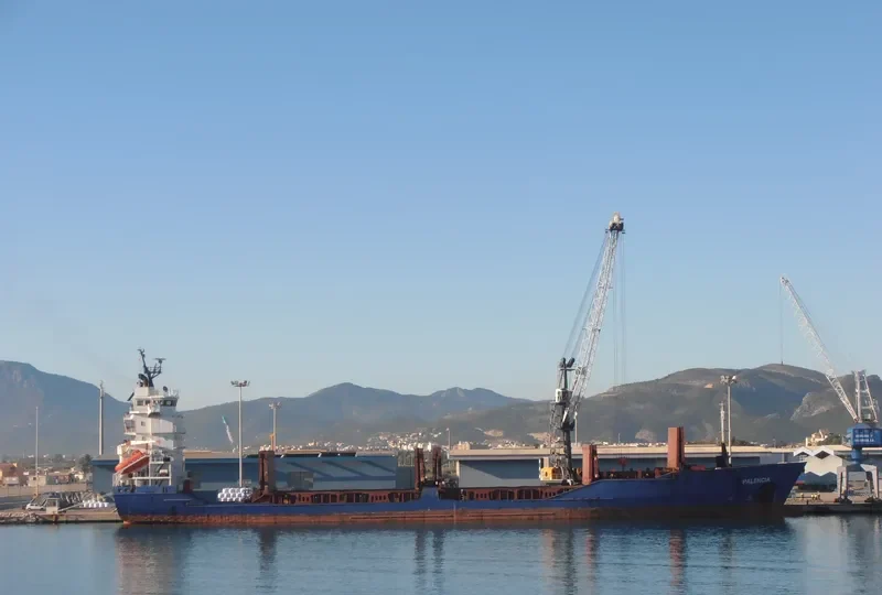 C3 RUBICON General Cargo IMO 9137856 photo 2