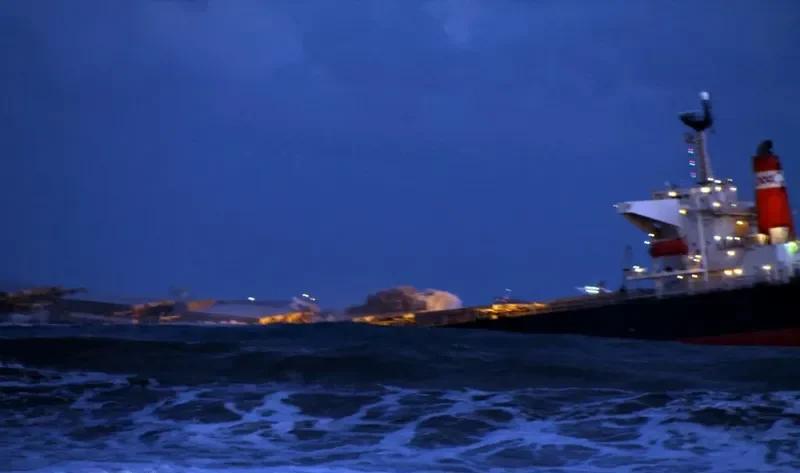 SMART Bulk Carrier IMO 9137959 photo 3