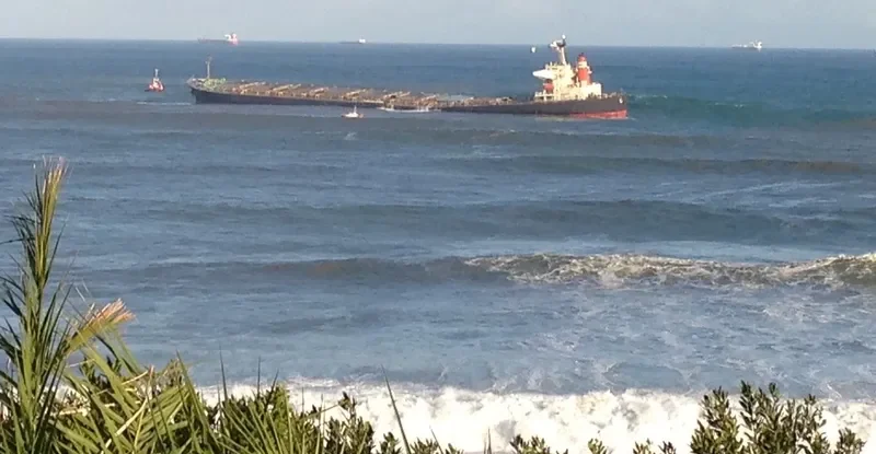 SMART Bulk Carrier IMO 9137959 photo 4