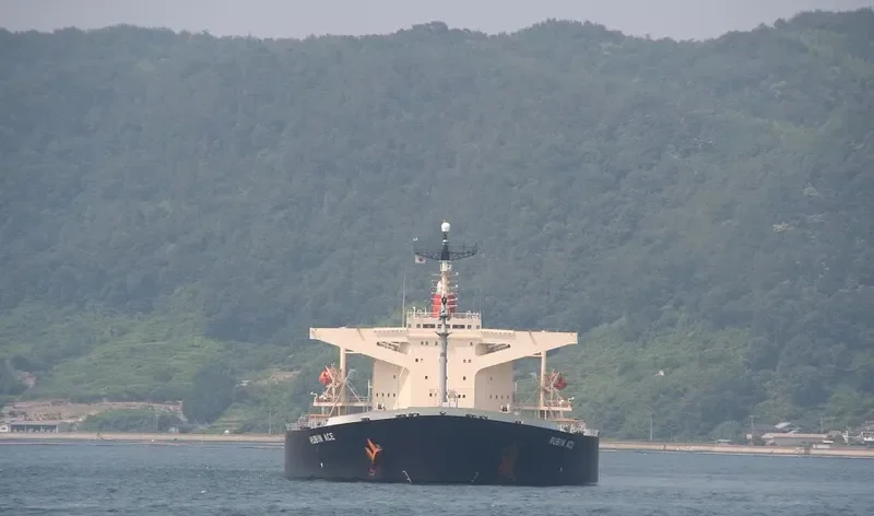 SMART Bulk Carrier IMO 9137959 photo 5