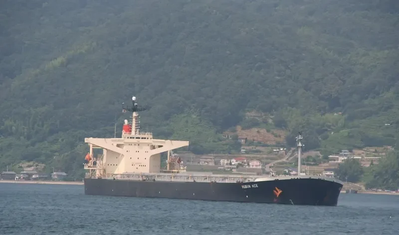 SMART Bulk Carrier IMO 9137959 photo 6