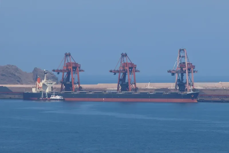 SMART Bulk Carrier IMO 9137959 photo 9
