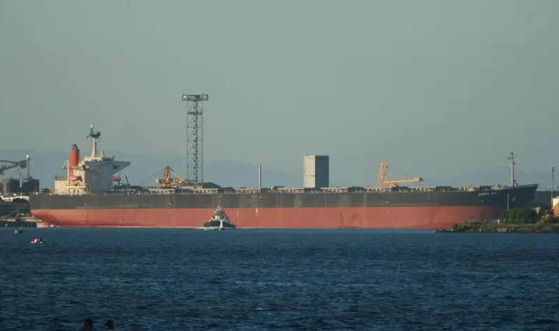 SMART Bulk Carrier IMO 9137959 photo 10