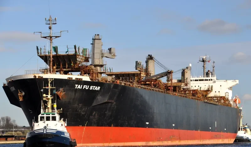 HAO HUNG 666 Bulk Carrier IMO 9137961 photo 7