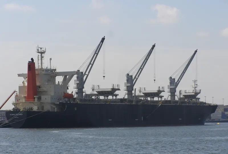 GLOBAL EXPLORER Bulk Carrier IMO 9137973 photo 9