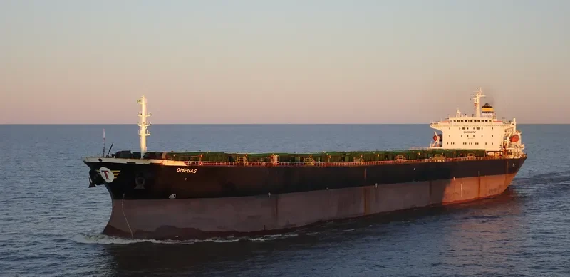 MEGAS Bulk Carrier IMO 9138082 photo 5