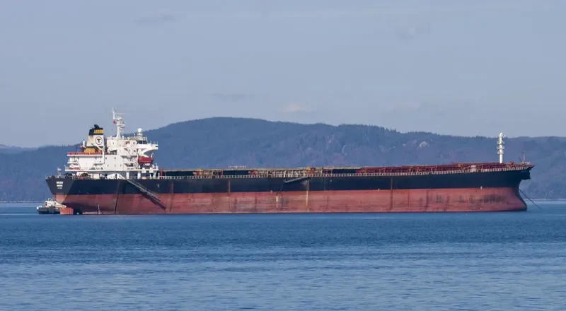 MEGAS Bulk Carrier IMO 9138082 photo 6