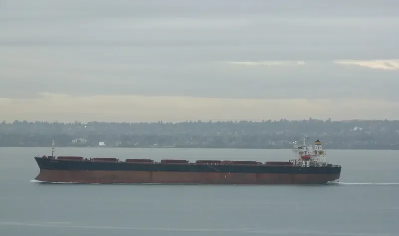 MEGAS Bulk Carrier IMO 9138082 photo 10