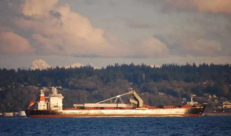 SHEILA ANN Bulk Carrier IMO 9138094