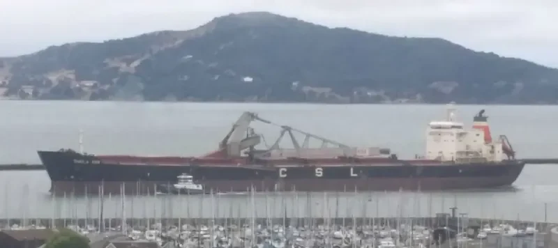 SHEILA ANN Bulk Carrier IMO 9138094 photo 3