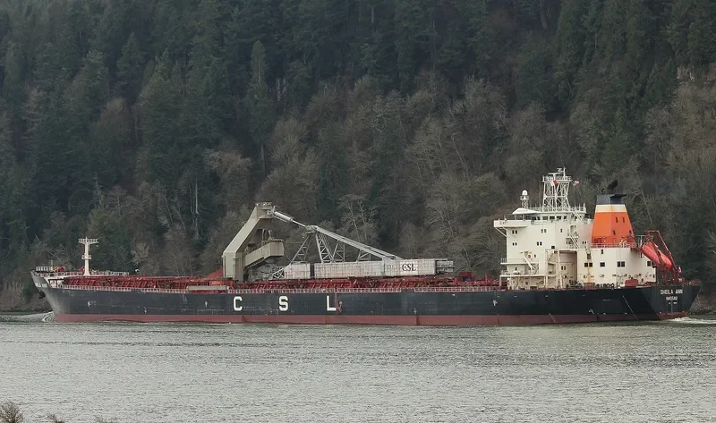 SHEILA ANN Bulk Carrier IMO 9138094 photo 5