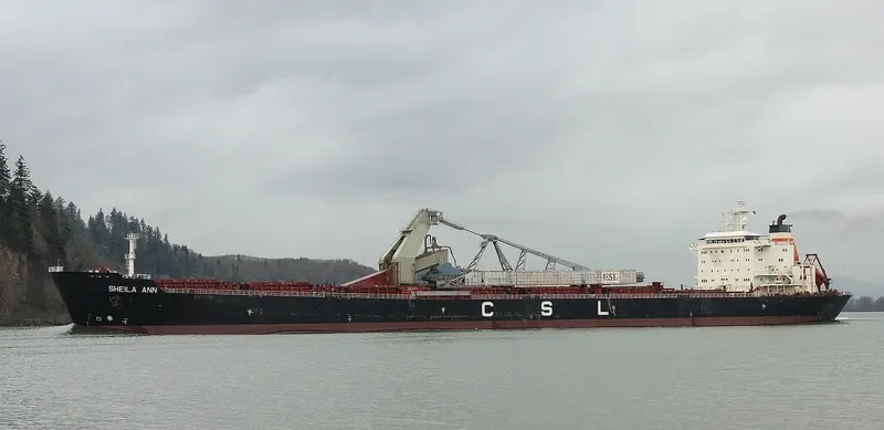 SHEILA ANN Bulk Carrier IMO 9138094 photo 6