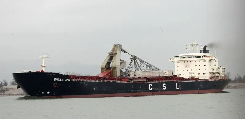 SHEILA ANN Bulk Carrier IMO 9138094 photo 7
