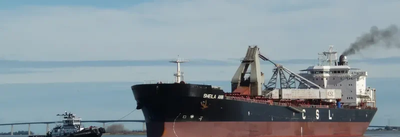 SHEILA ANN Bulk Carrier IMO 9138094 photo 8