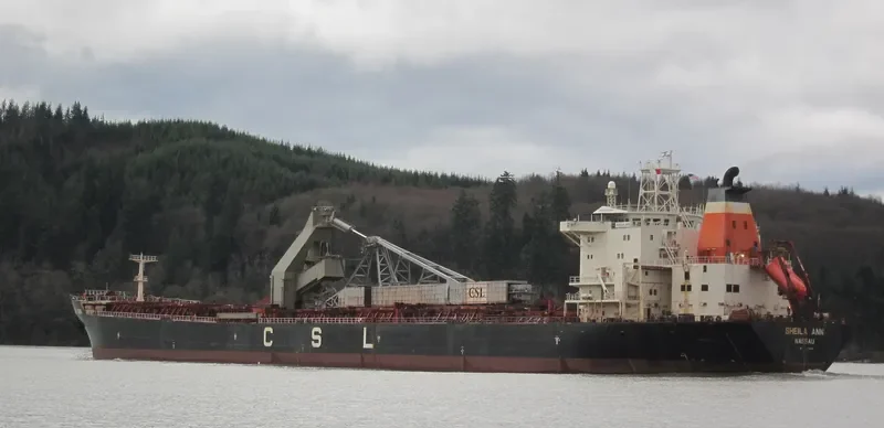 SHEILA ANN Bulk Carrier IMO 9138094 photo 9