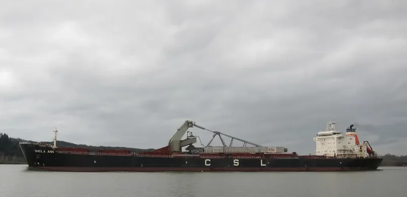 SHEILA ANN Bulk Carrier IMO 9138094 photo 10