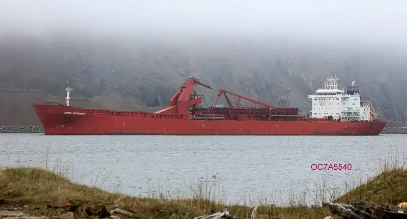 ALGOMA VICTORY Bulk Carrier IMO 9138109 photo 3