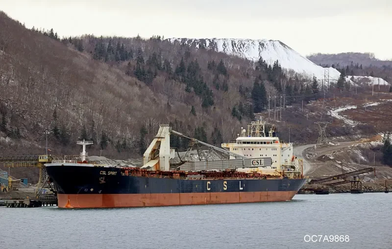 CSL SPIRIT Bulk Carrier IMO 9138111 photo 2